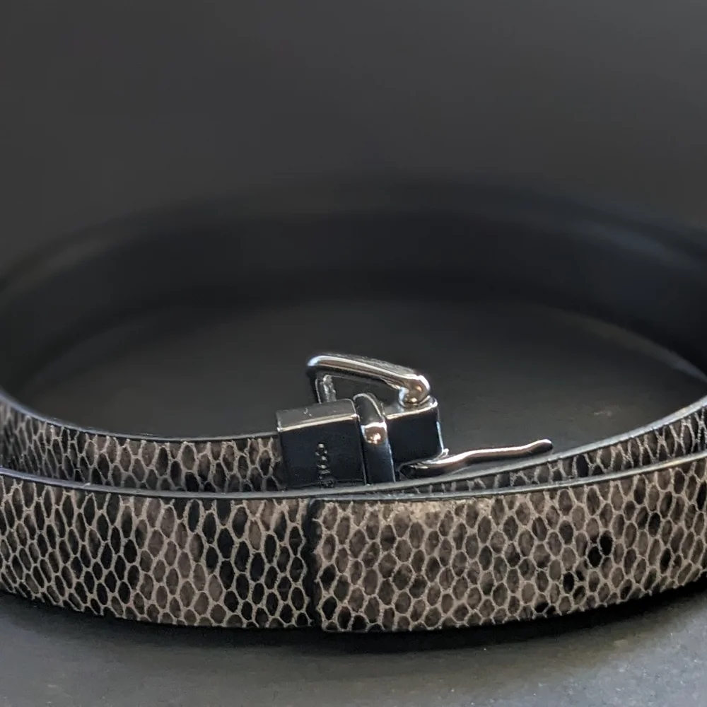 Cole Haan Reversible Python Leather Belt Silver Buckle Size L